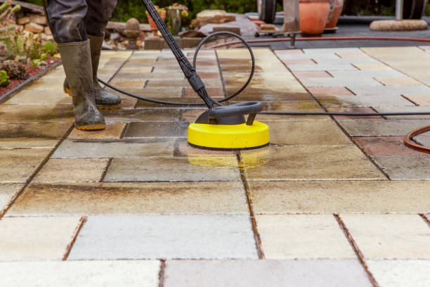 Animal Enclosure Cleaning in King City, CA